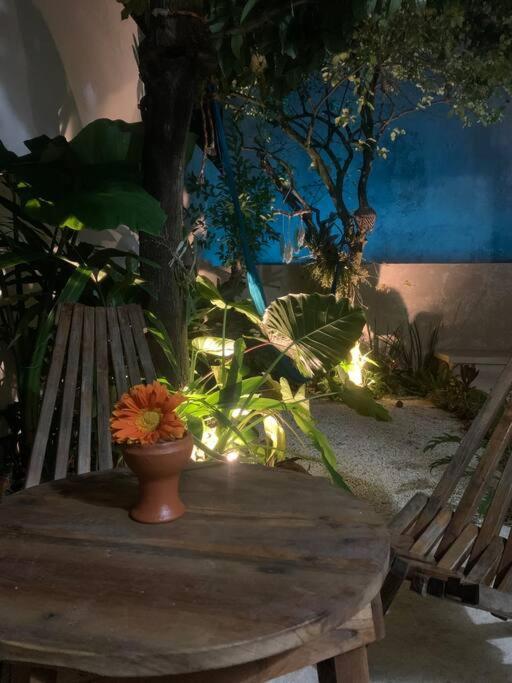 Private Full House With Pool And Cozy Patio Villa Valladolid  Exteriör bild