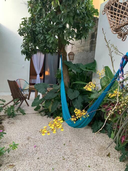 Private Full House With Pool And Cozy Patio Villa Valladolid  Exteriör bild